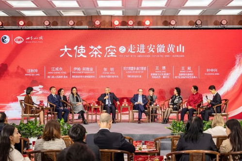 大使茶座主题文化沙龙活动走进祁门 促进文化艺术交流的桥梁